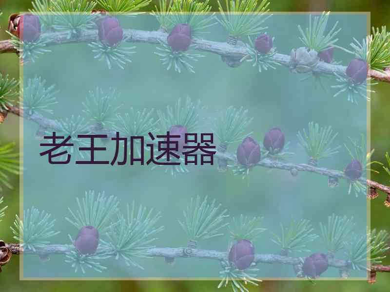 老王加速器 老王加速器